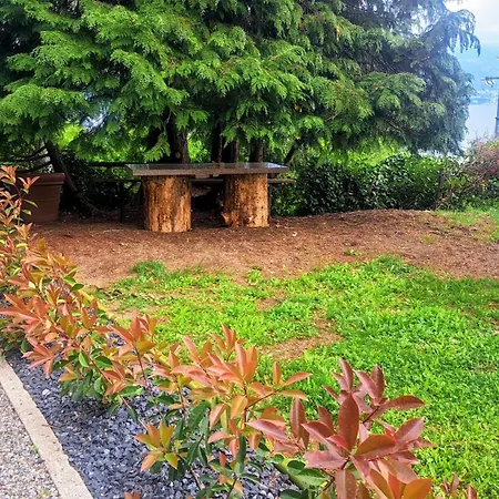 Shambala Loft Sole Apartament *